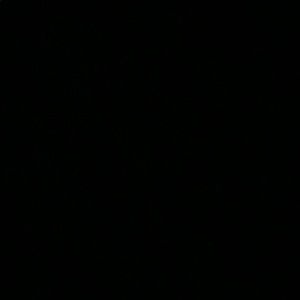 Meet your Posher, Mercadee